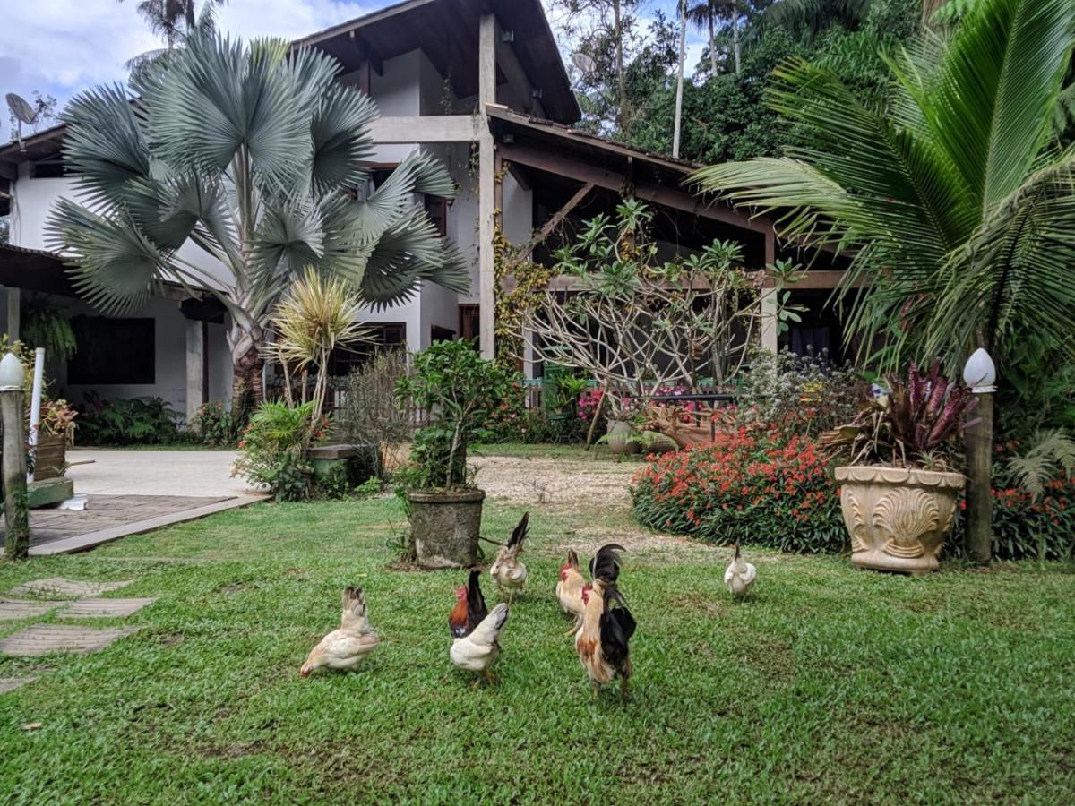 Ferienwohnung Casa Na Floresta Penedo  Exterior foto