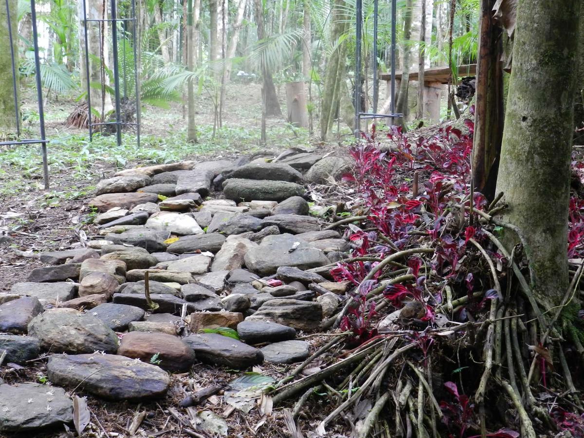 Ferienwohnung Casa Na Floresta Penedo  Exterior foto
